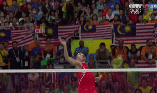 1471831043118598.gif 0.gif